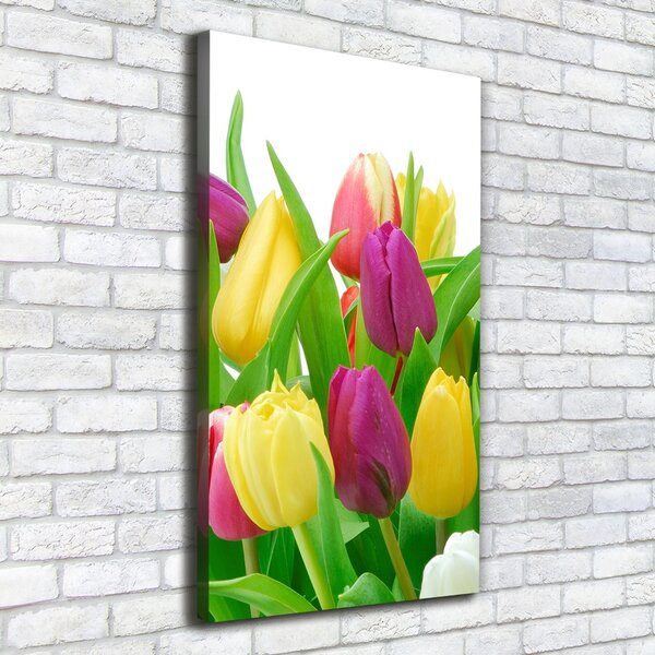 Vertikální Foto obraz na plátně Barevné tulipány ocv-12652067