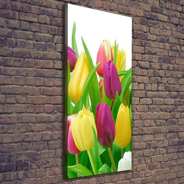 Vertikální Foto obraz na plátně Barevné tulipány ocv-12652067