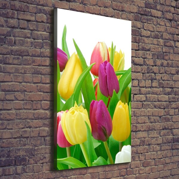 Vertikální Foto obraz na plátně Barevné tulipány ocv-12652067