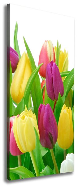 Vertikální Foto obraz na plátně Barevné tulipány ocv-12652067