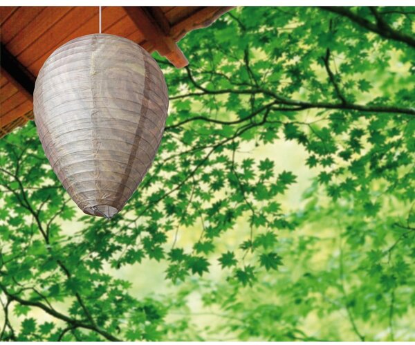 Papírový odpuzovač vos – Esschert Design