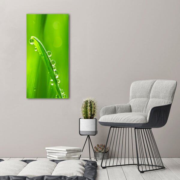 Vertikální Foto obraz canvas Stéblo trávy ocv-132303830