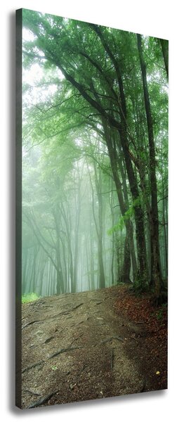 Vertikální Foto obraz canvas Mlha v lese ocv-132941694