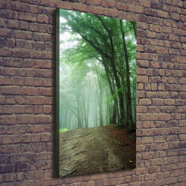 Vertikální Foto obraz canvas Mlha v lese ocv-132941694