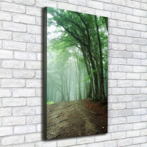 Vertikální Foto obraz canvas Mlha v lese ocv-132941694