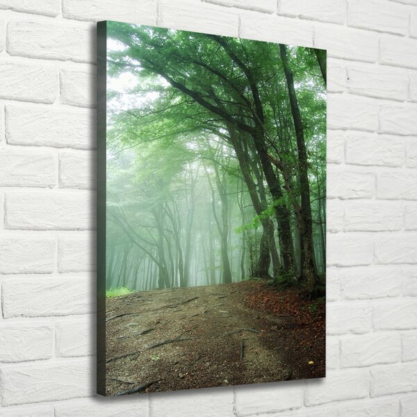Vertikální Foto obraz canvas Mlha v lese ocv-132941694