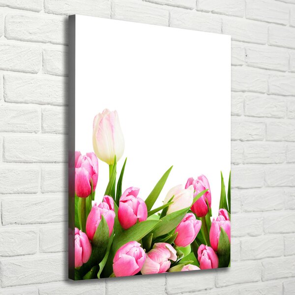 Vertikální Foto obraz na plátně Růžové tulipány ocv-138798865