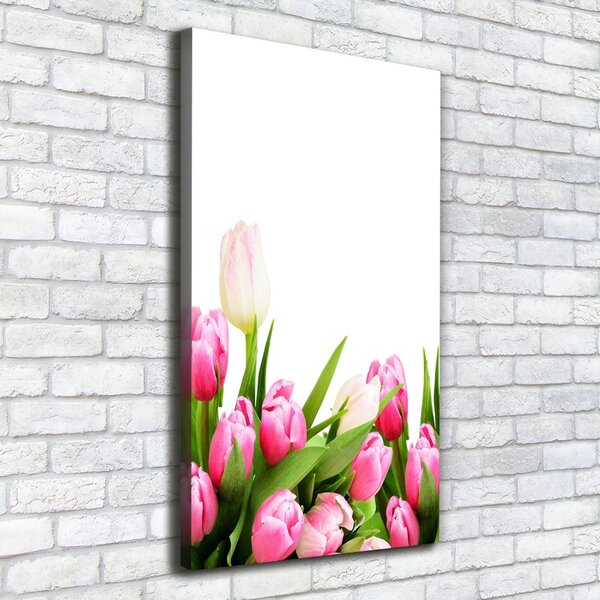 Vertikální Foto obraz na plátně Růžové tulipány ocv-138798865