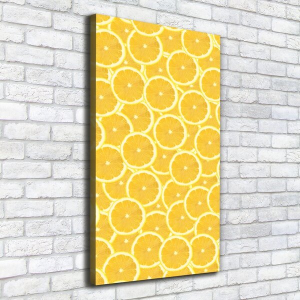 Vertikální Moderní obraz canvas na rámu Citrony ocv-138709638