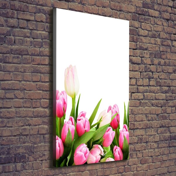 Vertikální Foto obraz na plátně Růžové tulipány ocv-138798865
