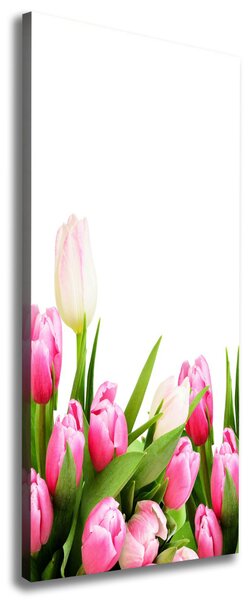 Vertikální Foto obraz na plátně Růžové tulipány ocv-138798865