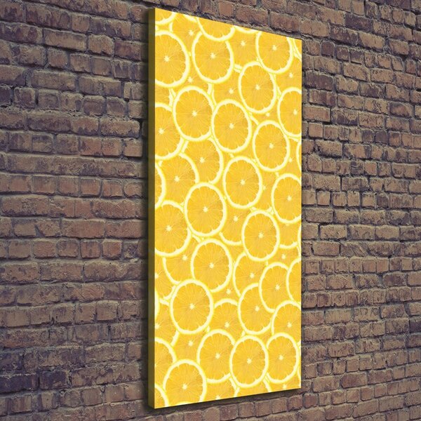 Vertikální Moderní obraz canvas na rámu Citrony ocv-138709638