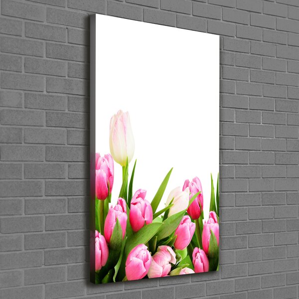 Vertikální Foto obraz na plátně Růžové tulipány ocv-138798865