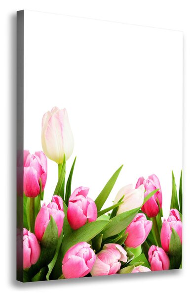 Vertikální Foto obraz na plátně Růžové tulipány ocv-138798865