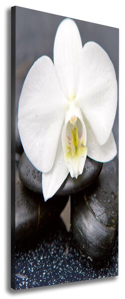 Vertikální Foto obraz na plátně Orchidej a kameny ocv-143014442