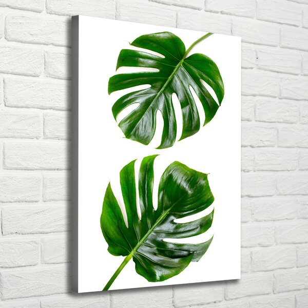 Vertikální Vertikální Foto obraz na plátně do obýváku Monstera ocv-145760830