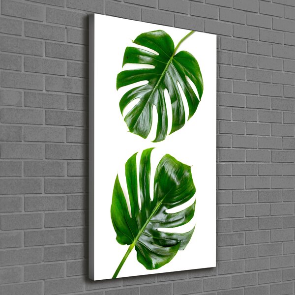 Vertikální Vertikální Foto obraz na plátně do obýváku Monstera ocv-145760830