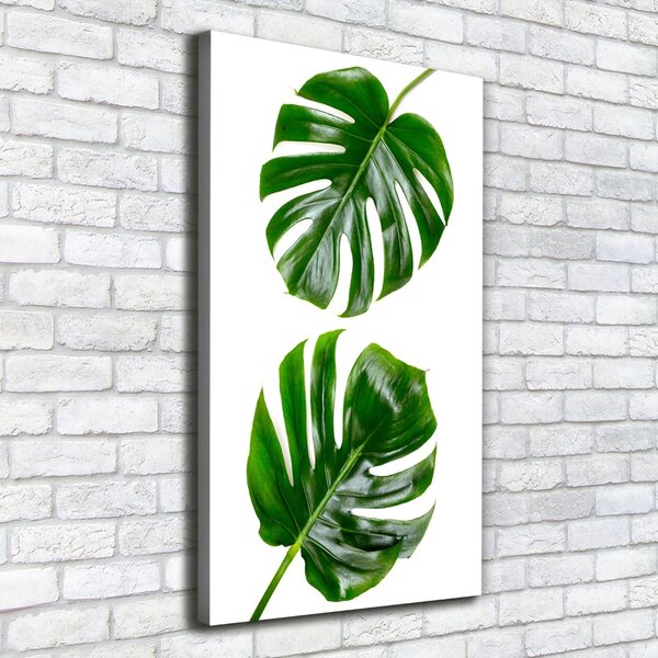 Vertikální Vertikální Foto obraz na plátně do obýváku Monstera ocv-145760830