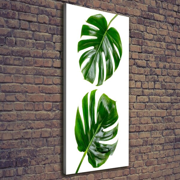 Vertikální Vertikální Foto obraz na plátně do obýváku Monstera ocv-145760830