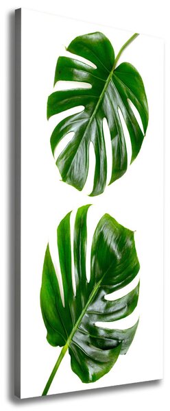 Vertikální Vertikální Foto obraz na plátně do obýváku Monstera ocv-145760830