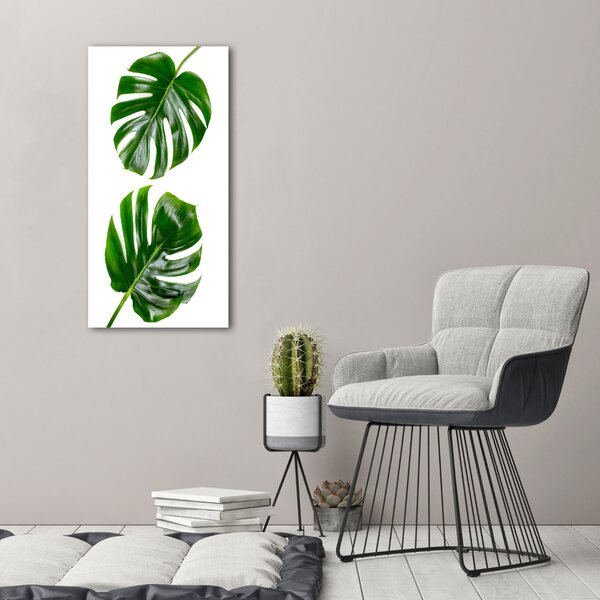 Vertikální Vertikální Foto obraz na plátně do obýváku Monstera ocv-145760830