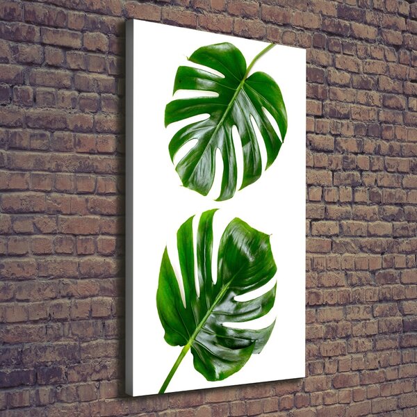 Vertikální Vertikální Foto obraz na plátně do obýváku Monstera ocv-145760830