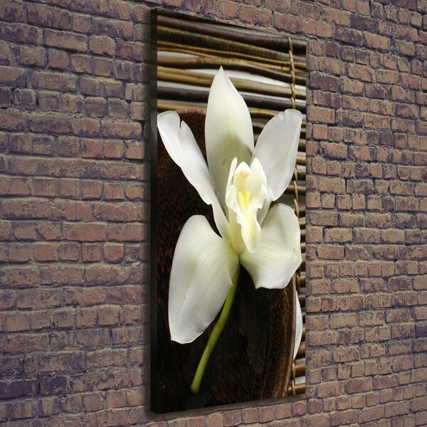Vertikální Vertikální Foto obraz na plátně do obýváku Orchidej ocv-14760003