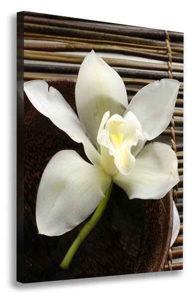 Vertikální Vertikální Foto obraz na plátně do obýváku Orchidej ocv-14760003
