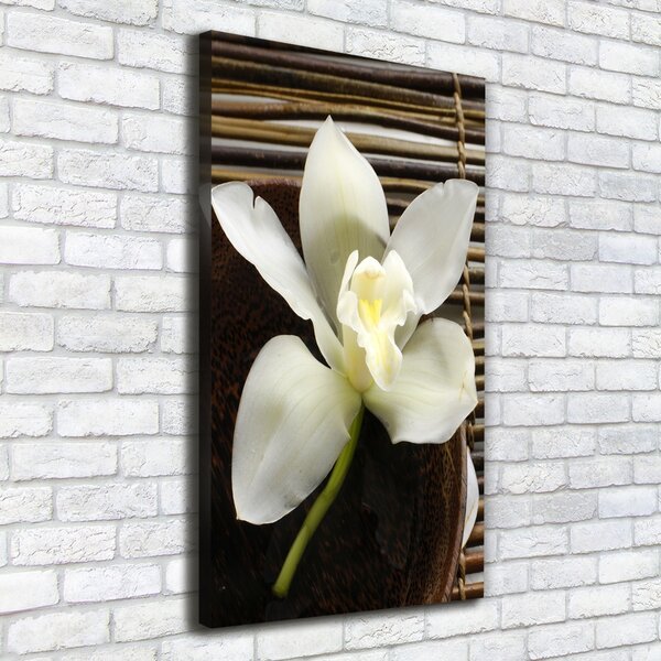 Vertikální Vertikální Foto obraz na plátně do obýváku Orchidej ocv-14760003