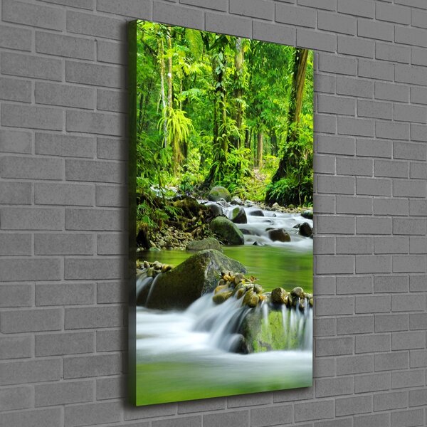 Vertikální Foto obraz canvas Horský potok ocv-15363026