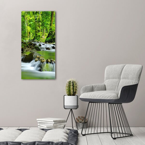 Vertikální Foto obraz canvas Horský potok ocv-15363026