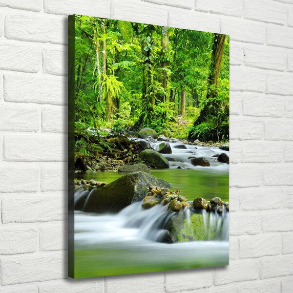Vertikální Foto obraz canvas Horský potok ocv-15363026