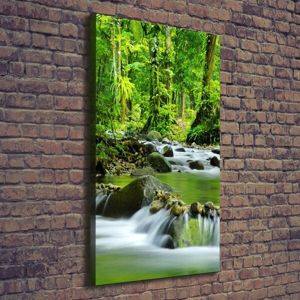 Vertikální Foto obraz canvas Horský potok ocv-15363026
