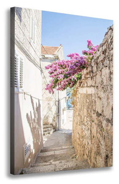 Vertikální Foto obraz na plátně Korčula Chorvatsko ocv-169820518