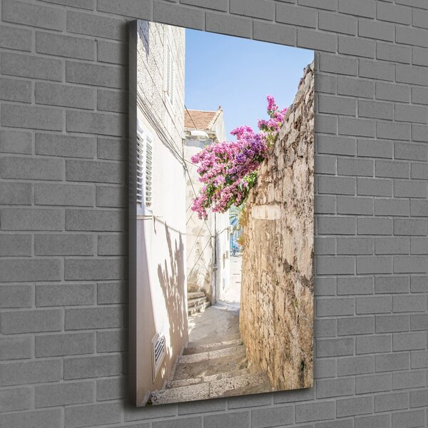 Vertikální Foto obraz na plátně Korčula Chorvatsko ocv-169820518