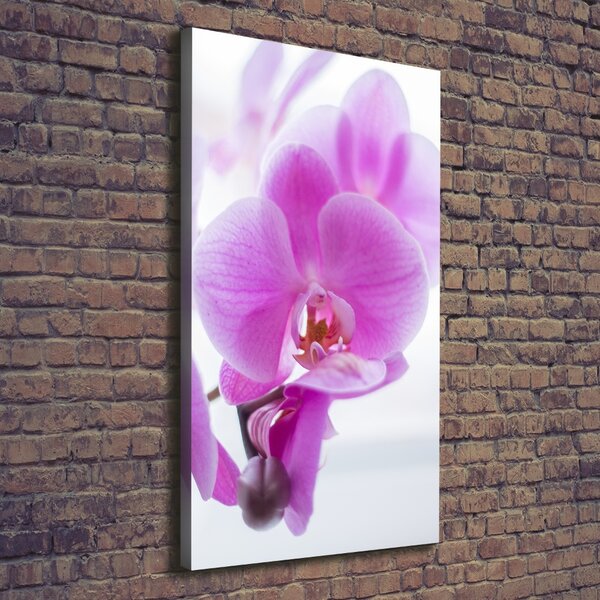 Vertikální Foto obraz na plátně Růžová orchidej ocv-178713472