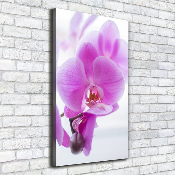 Vertikální Foto obraz na plátně Růžová orchidej ocv-178713472