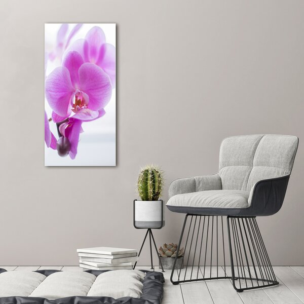 Vertikální Foto obraz na plátně Růžová orchidej ocv-178713472