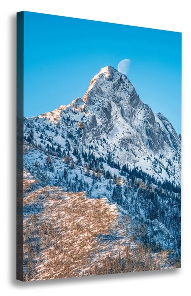 Vertikální Foto obraz na plátně Gievont Tatry ocv-181484221