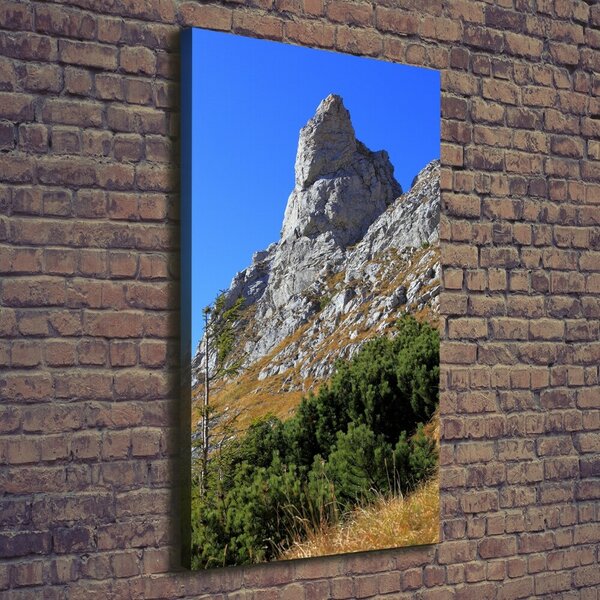 Vertikální Foto obraz na plátně malý Giewont Tatry ocv-186285195