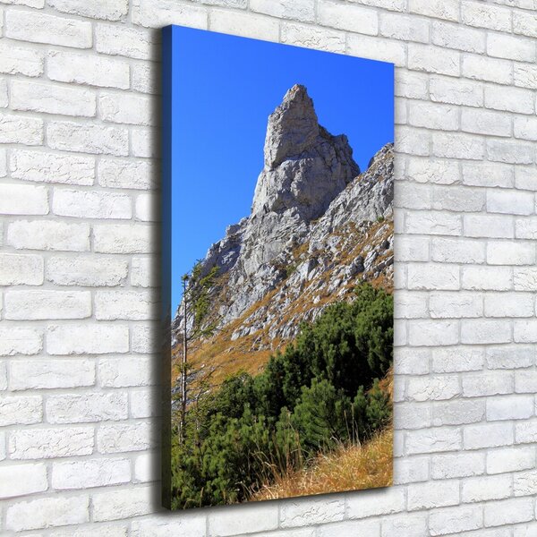 Vertikální Foto obraz na plátně malý Giewont Tatry ocv-186285195