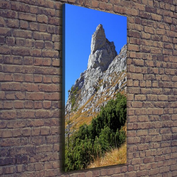 Vertikální Foto obraz na plátně malý Giewont Tatry ocv-186285195