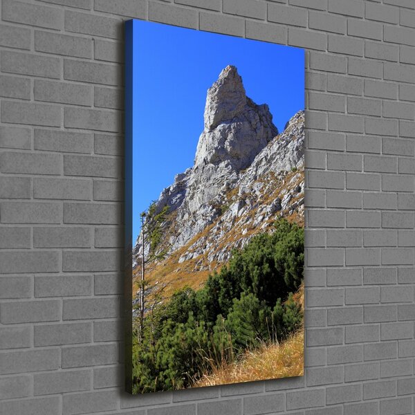 Vertikální Foto obraz na plátně malý Giewont Tatry ocv-186285195
