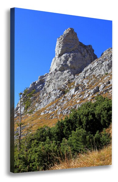 Vertikální Foto obraz na plátně malý Giewont Tatry ocv-186285195