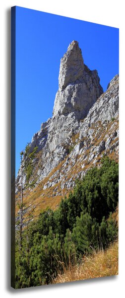 Vertikální Foto obraz na plátně malý Giewont Tatry ocv-186285195