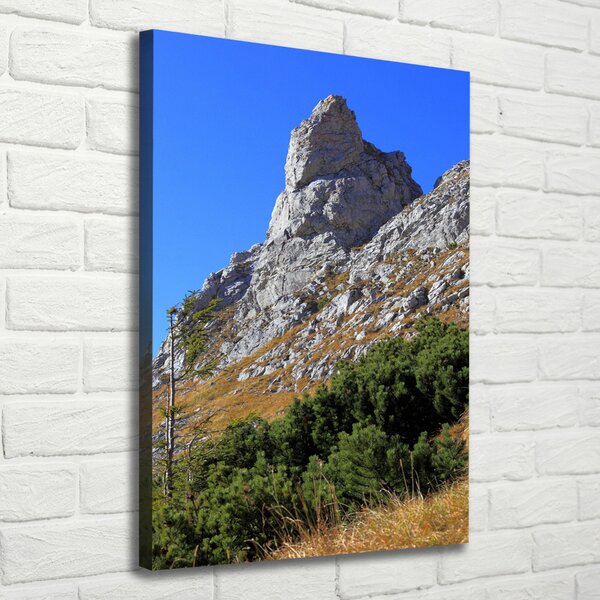 Vertikální Foto obraz na plátně malý Giewont Tatry ocv-186285195