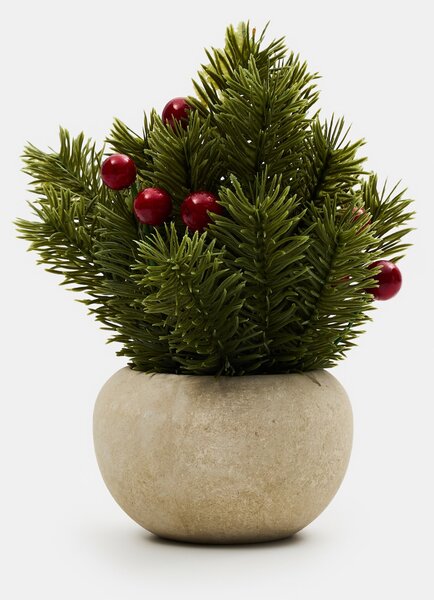Sinsay - Vánoční dekorativní rostlina v květináči - jehličnaté větvičky - zelená