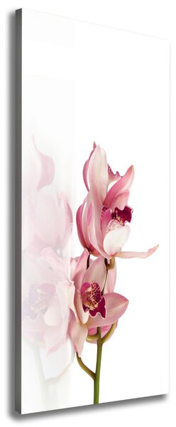 Vertikální Foto obraz na plátně Růžová orchidej ocv-18886978