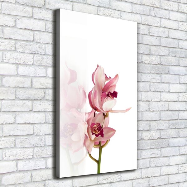 Vertikální Foto obraz na plátně Růžová orchidej ocv-18886978