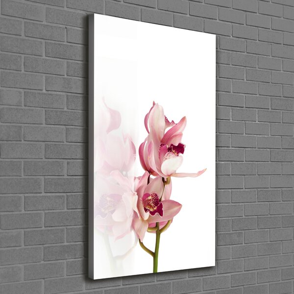Vertikální Foto obraz na plátně Růžová orchidej ocv-18886978